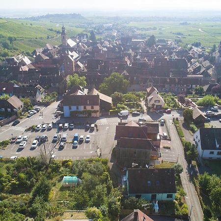 Gewurztraminer - Studio Au Pied Du Vignoble - Renove Recemment - Parking Gratuit Riquewihr Zewnętrze zdjęcie
