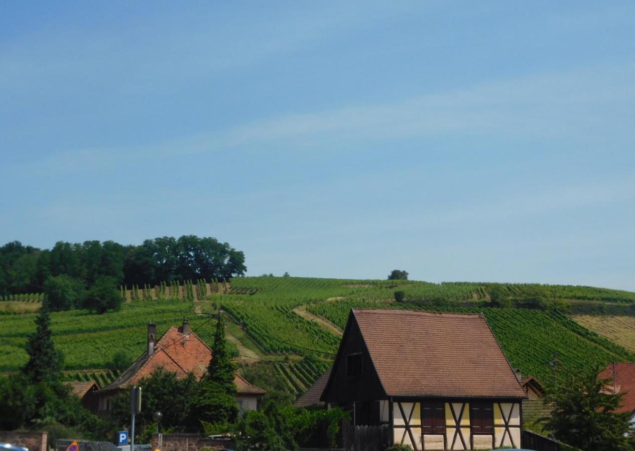 Gewurztraminer - Studio Au Pied Du Vignoble - Renove Recemment - Parking Gratuit Riquewihr Zewnętrze zdjęcie