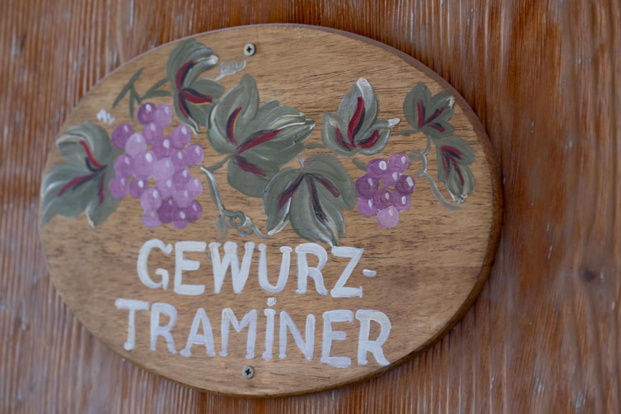 Gewurztraminer - Studio Au Pied Du Vignoble - Renove Recemment - Parking Gratuit Riquewihr Zewnętrze zdjęcie