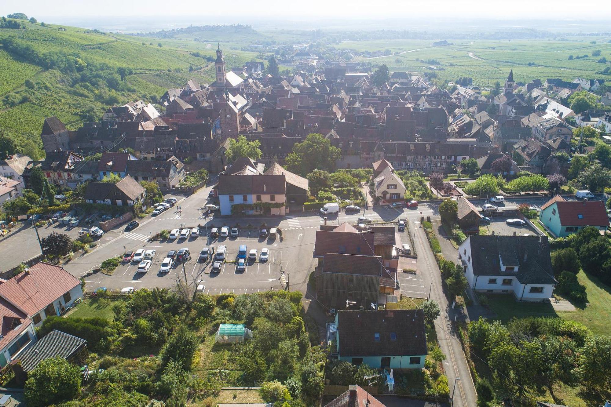 Gewurztraminer - Studio Au Pied Du Vignoble - Renove Recemment - Parking Gratuit Riquewihr Zewnętrze zdjęcie